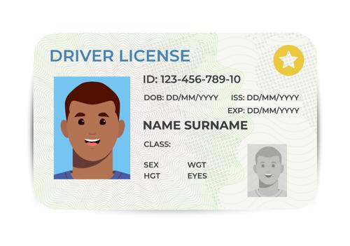 Drivers license illustration